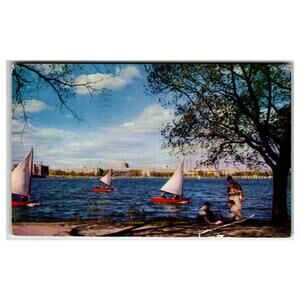 Vintage MIT Charles River Basin Boston Sailboats Postcard 1957